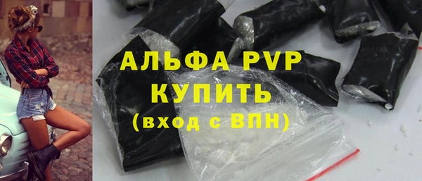прущие грибы Магас