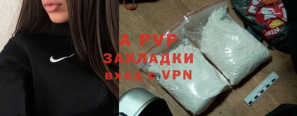 гидра Майский