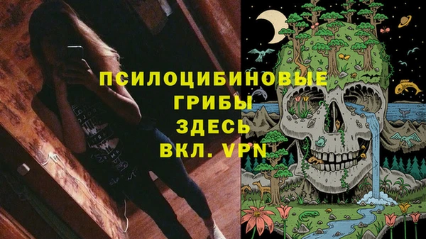 бошки Абаза
