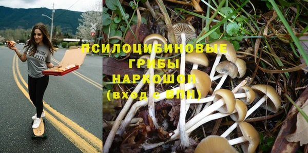 СК Абинск