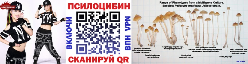 как найти закладки  Ленинградская  Галлюциногенные грибы мухоморы 